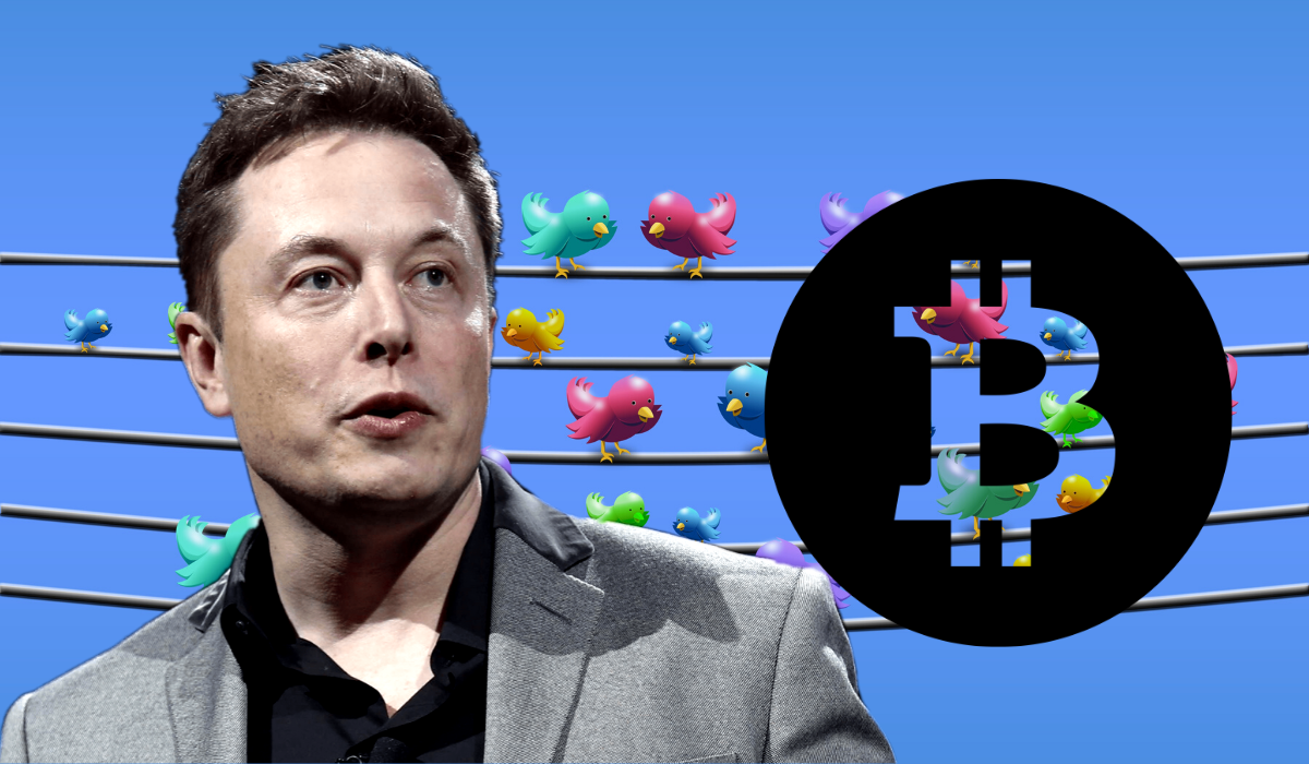Elon Musk Trolls The Crypto Community With His Quirkish Tweet - TCR