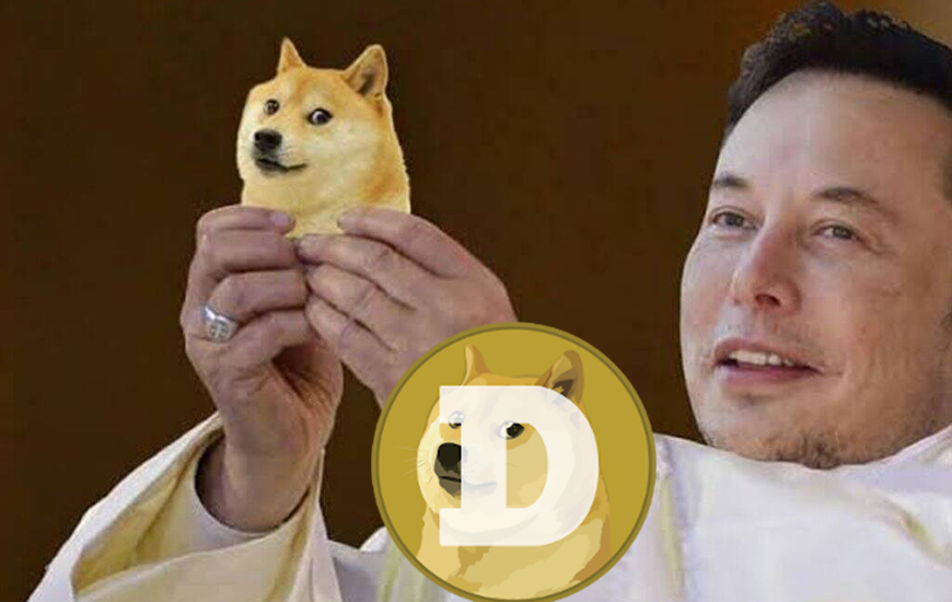 Elon coin price