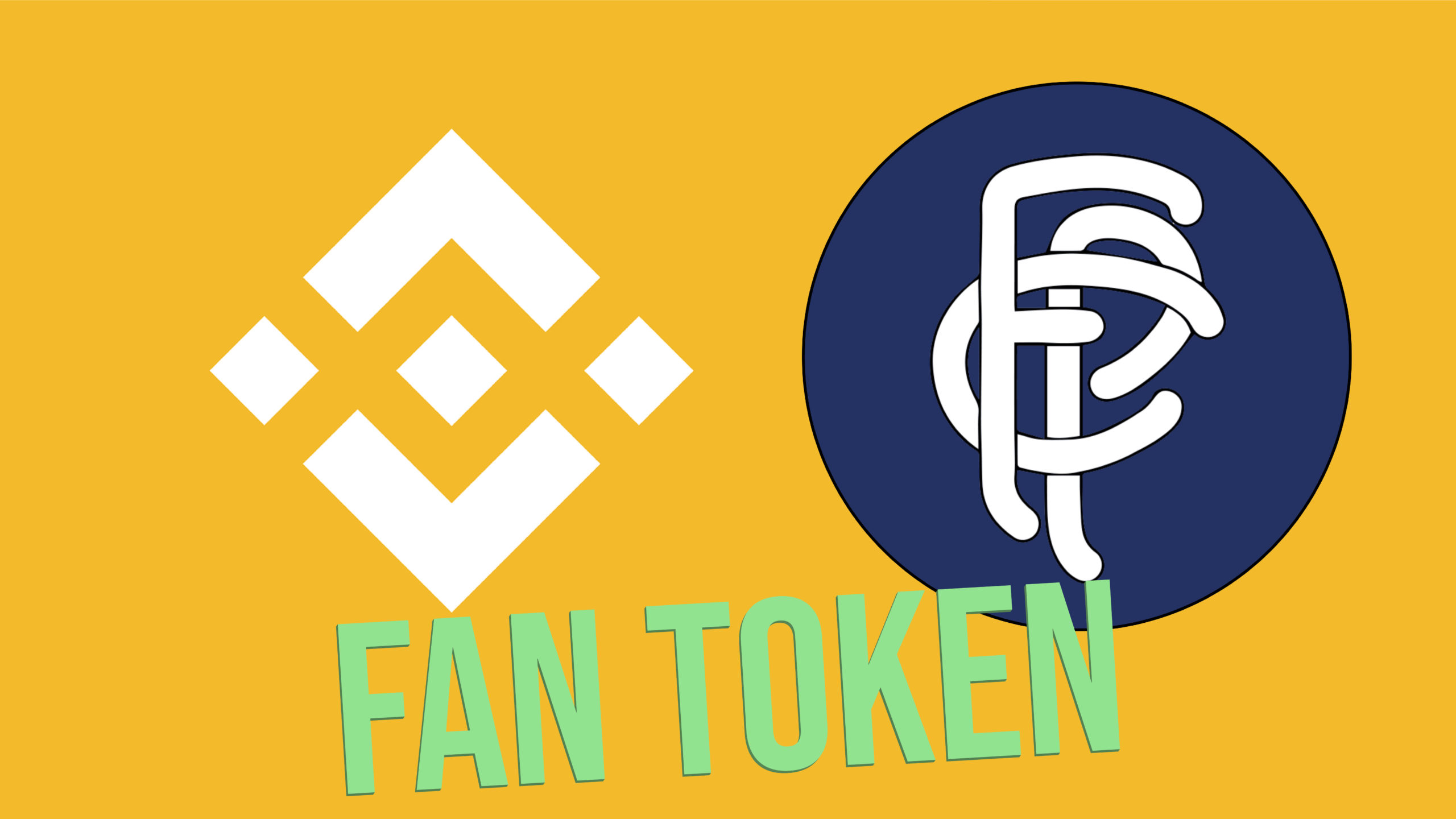 FAN Tokens: they are fungible, and provide a unique experience. 