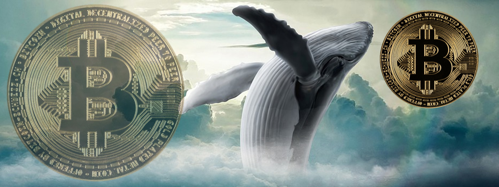 bitcoin buy whale
