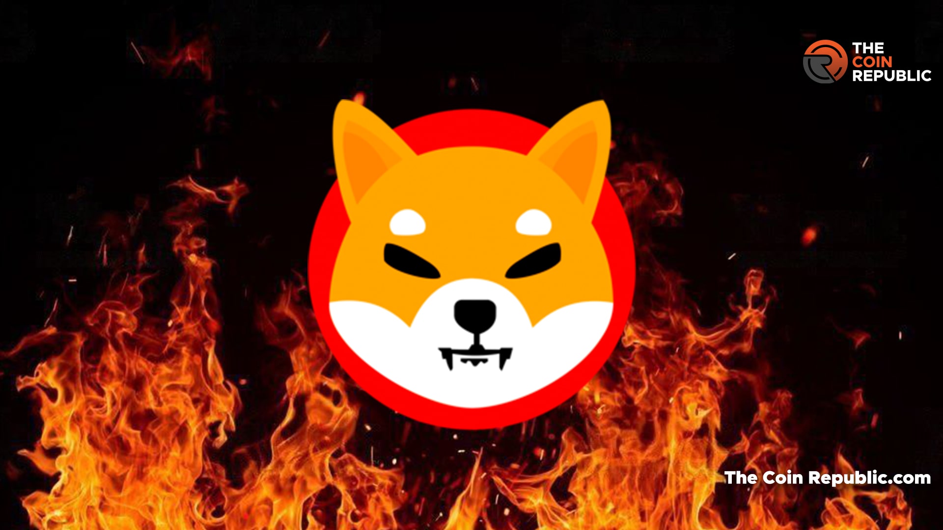 Shiba Inu Burn Rate Climbs 500% After Buy Orders Touches 91%. - The ...