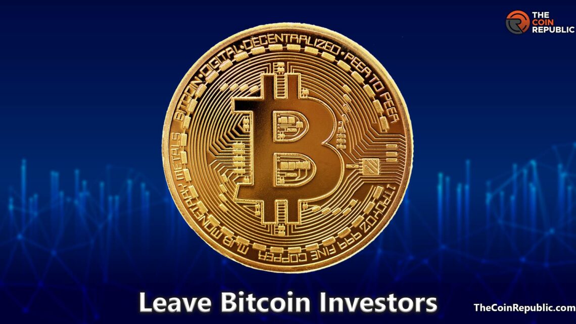 Bitcoin Investors