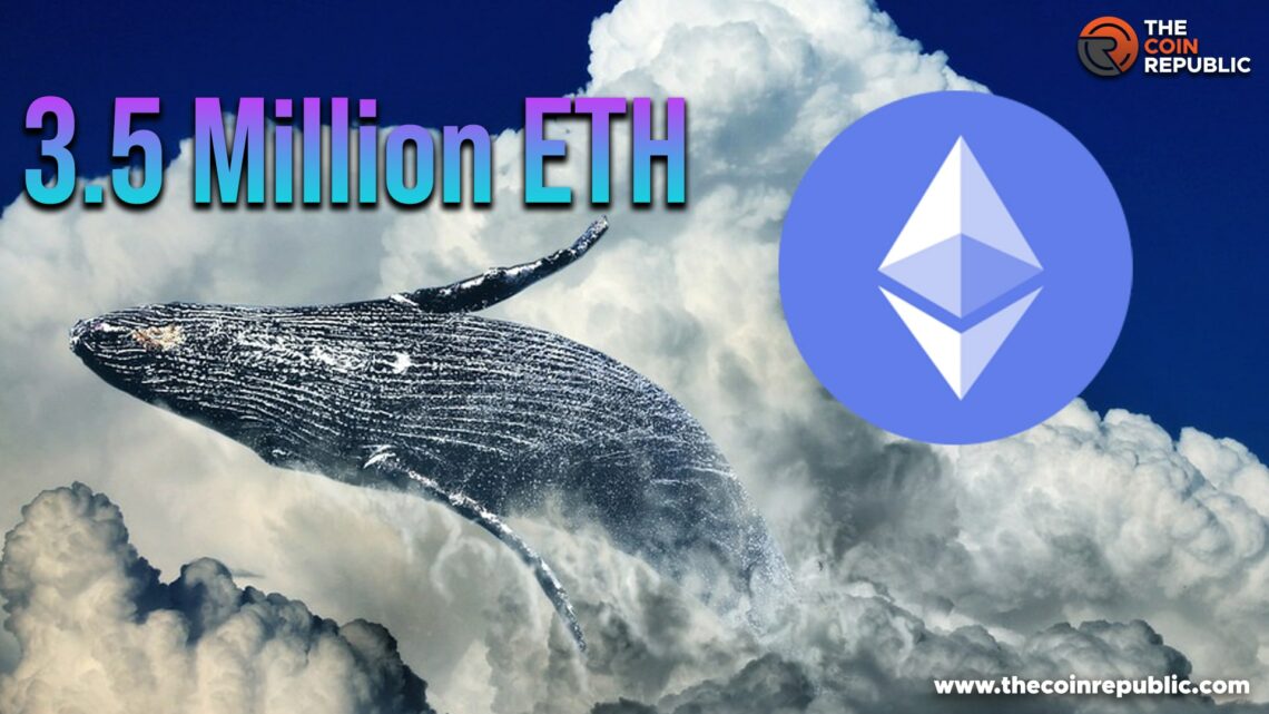 Ethereum Whales