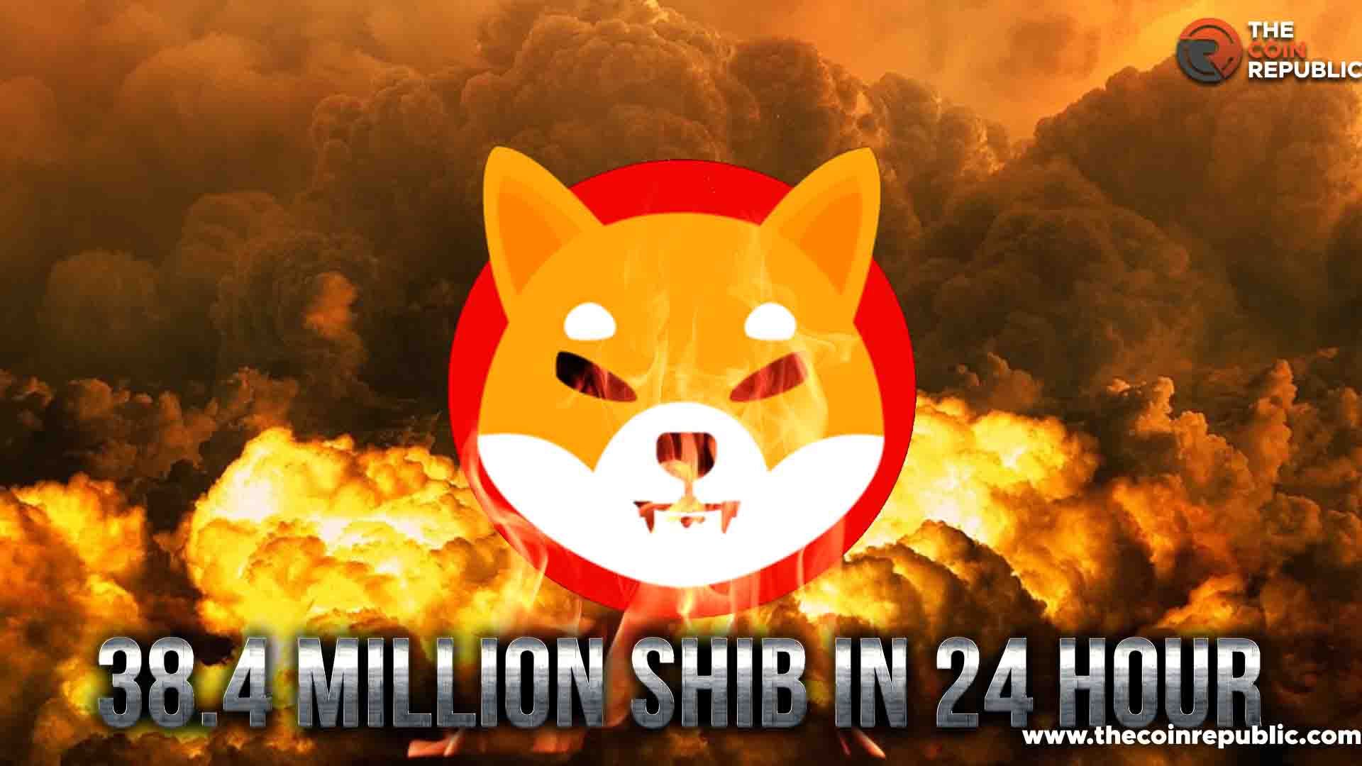 Find Here How Much SHIB Token Burn Rate Spikes