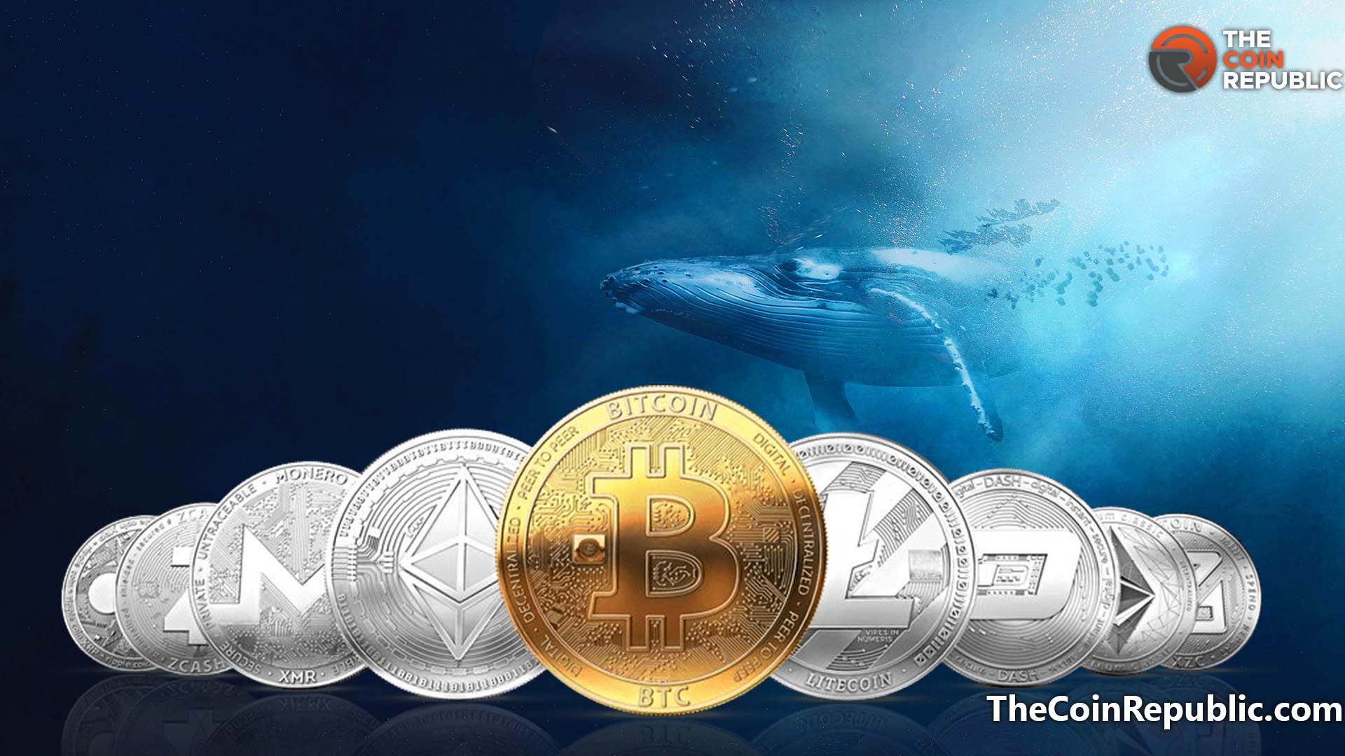 Why Crypto Whales Hold so Much Dominance in the Crypto Market?