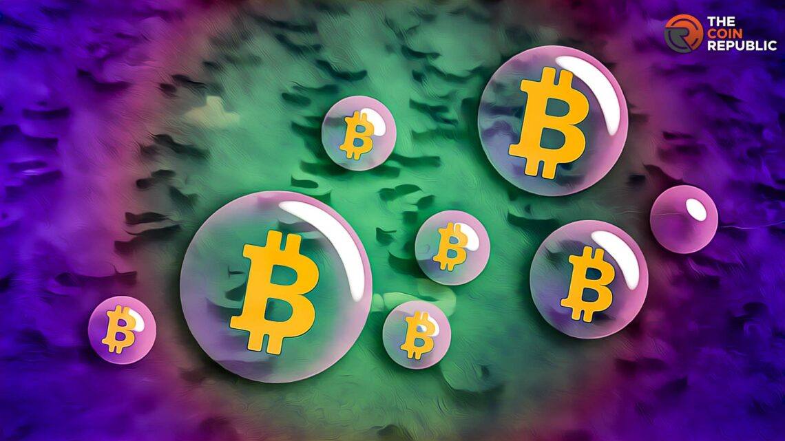 Bitcoin Bubble About To Burst Analyst Warns Prices Could Dip To $7,000