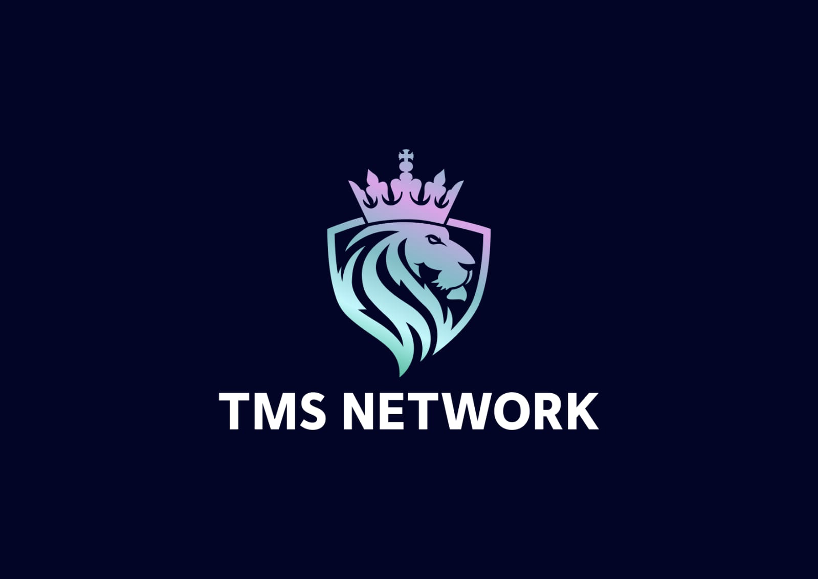 Investors Flocking to TMS Network (TMSN) as Cardano and Solana Lose Their Steam 