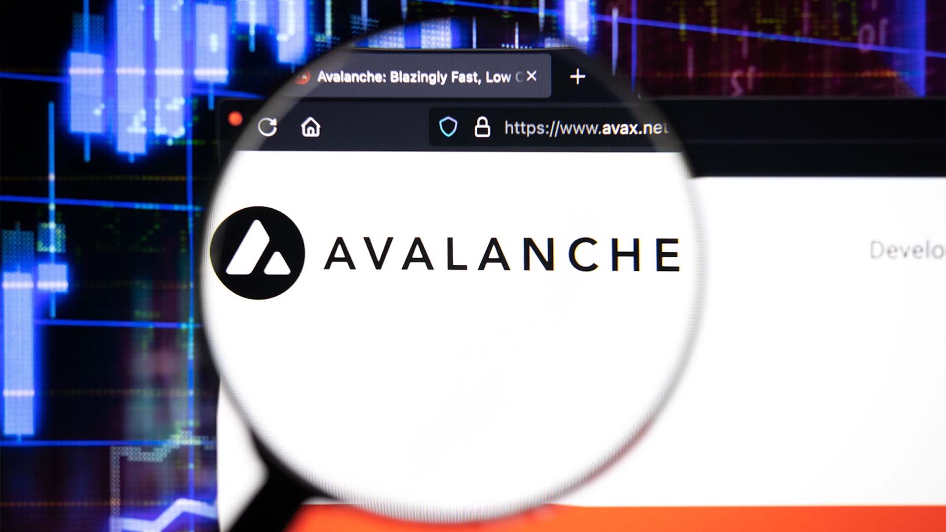DigiToads Presale Earns Investor Trust as Avalanche faces market turbulence