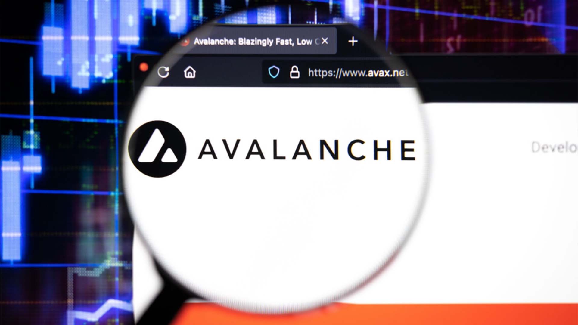 As Avalanche Introduces the X-Chain Explorer, Demand for DigiToads Presale Explodes