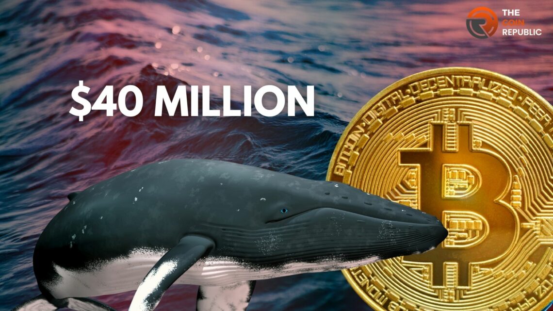 Bitcoin Whales Showing Sudden Activity After a Decade of Dormancy