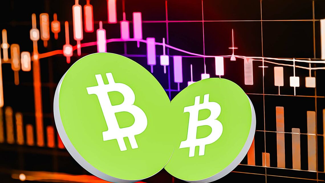 BCH Price Analysis: BCH Shows Intraday Gain of 21%, What Next?
