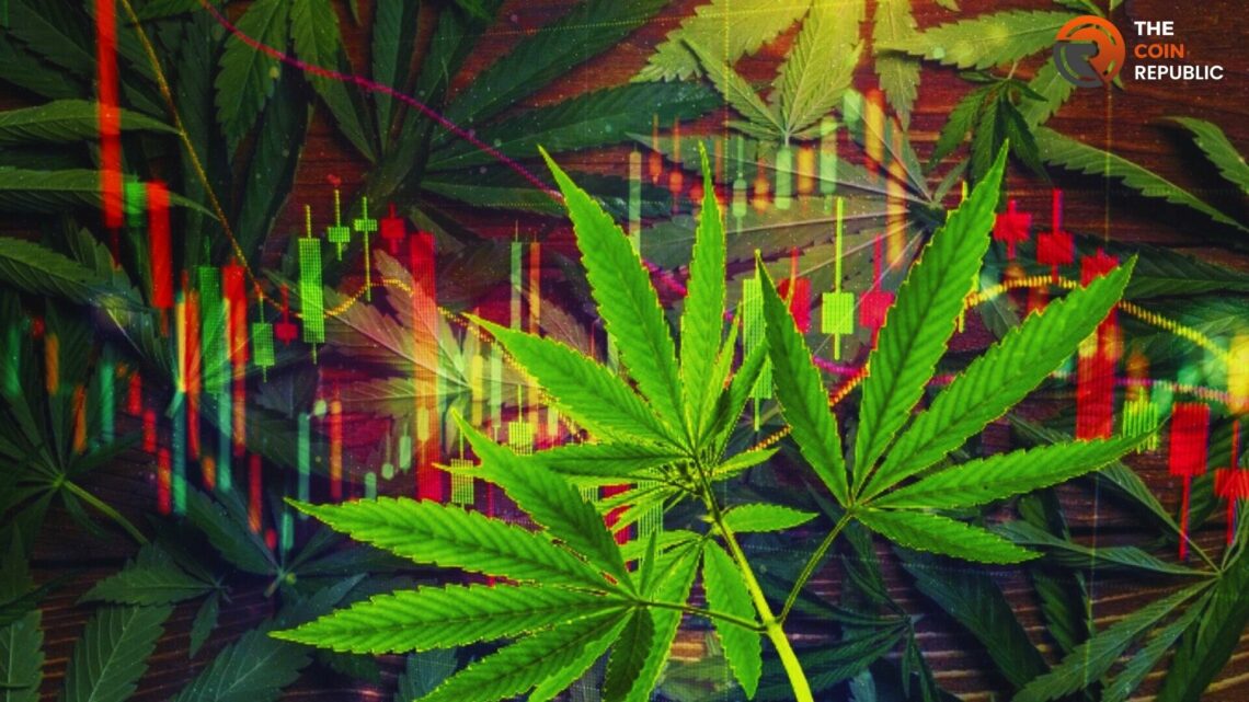 5 Best Cannabis Stocks Ready to Stir the Stock Market in 2023