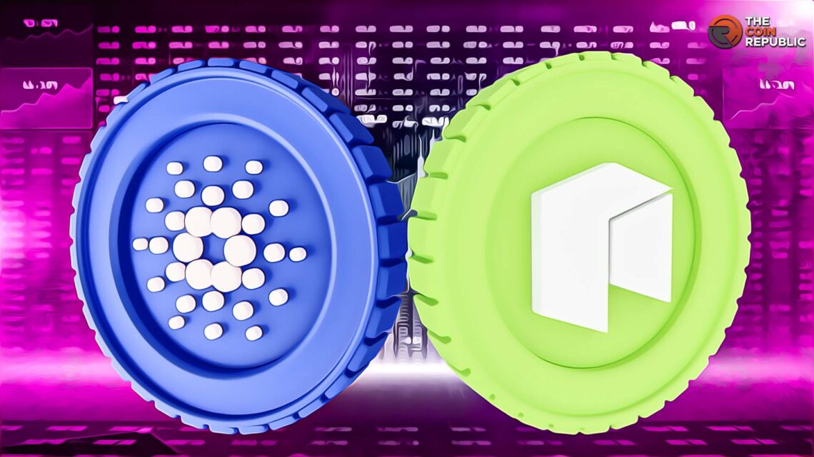 Everything You Should Know about Cardano and NEO