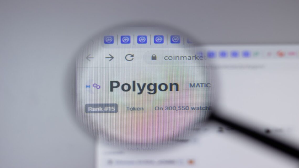 As Polygon and Filecoin Struggle to attract investors, DigiToads Presale Continues to shine with impressive traction