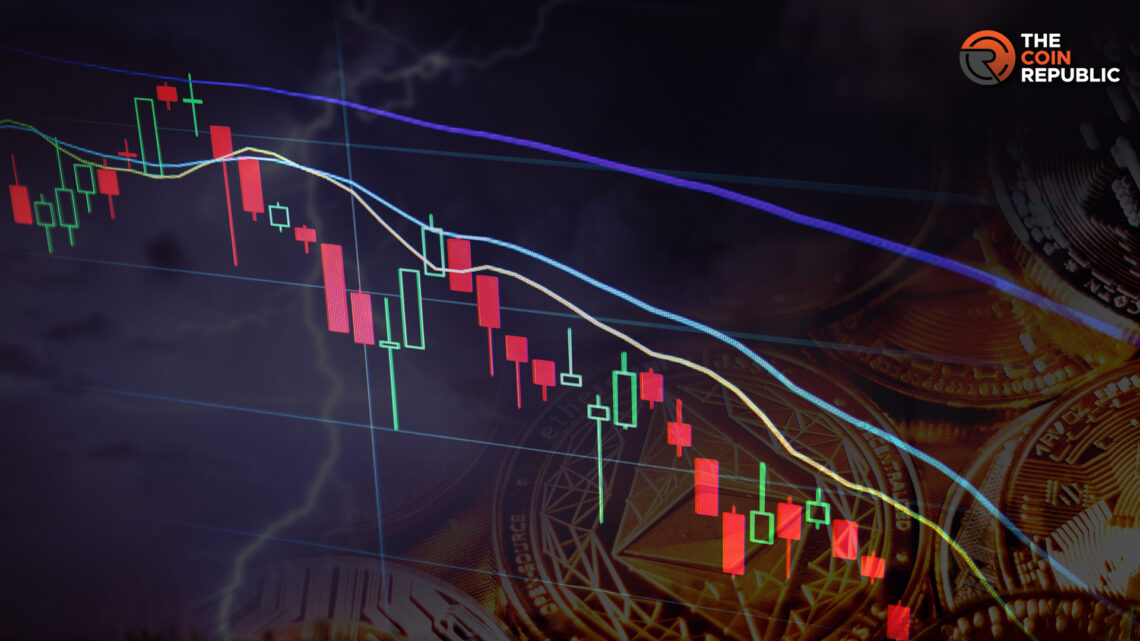 Crypto Market FUD Storm: How to Survive and Master it