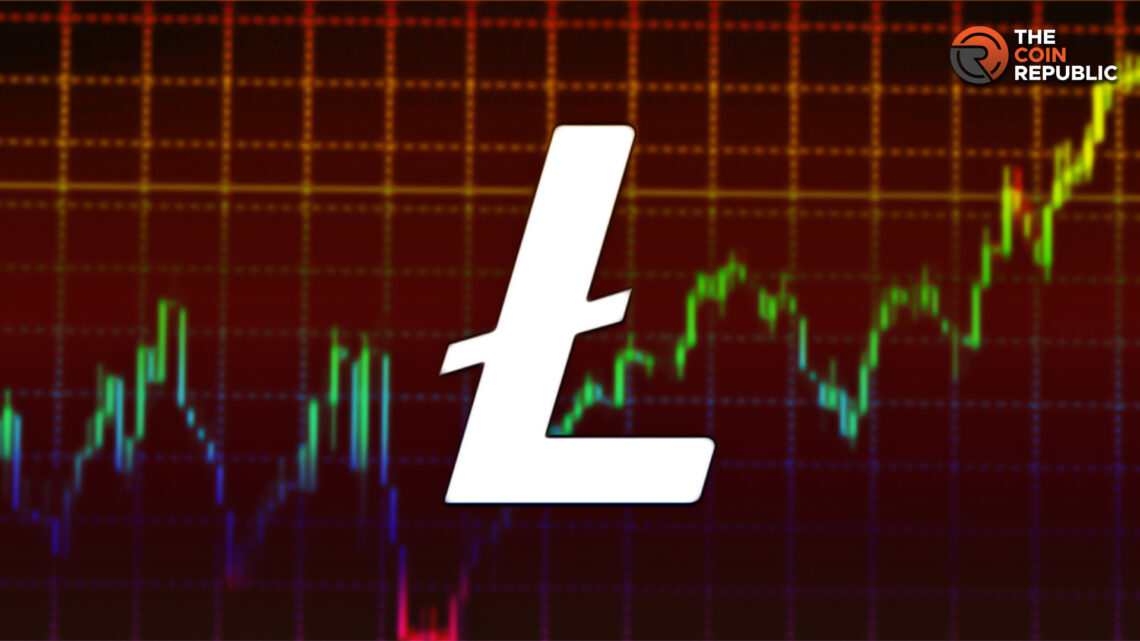 Litecoin Halving: Details of the Event and its Effect on Price