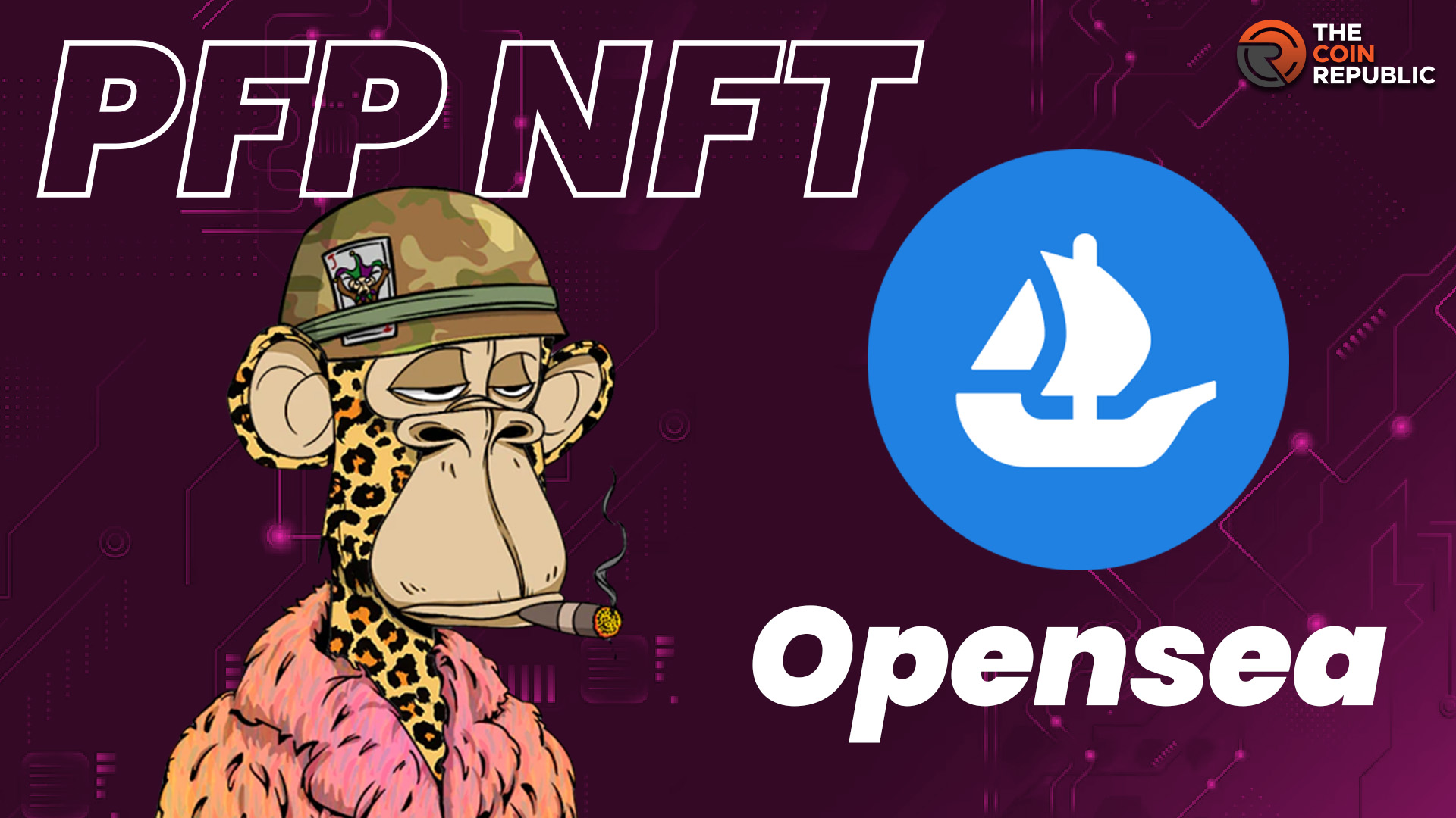 PFP NFT Category of OpenSea Attracting the Digital Art Lovers