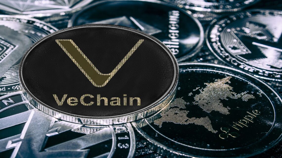 VeChain Aims To Revolutionize Food Industry, DigiToads Investors To Reap Massive Rewards After Presale