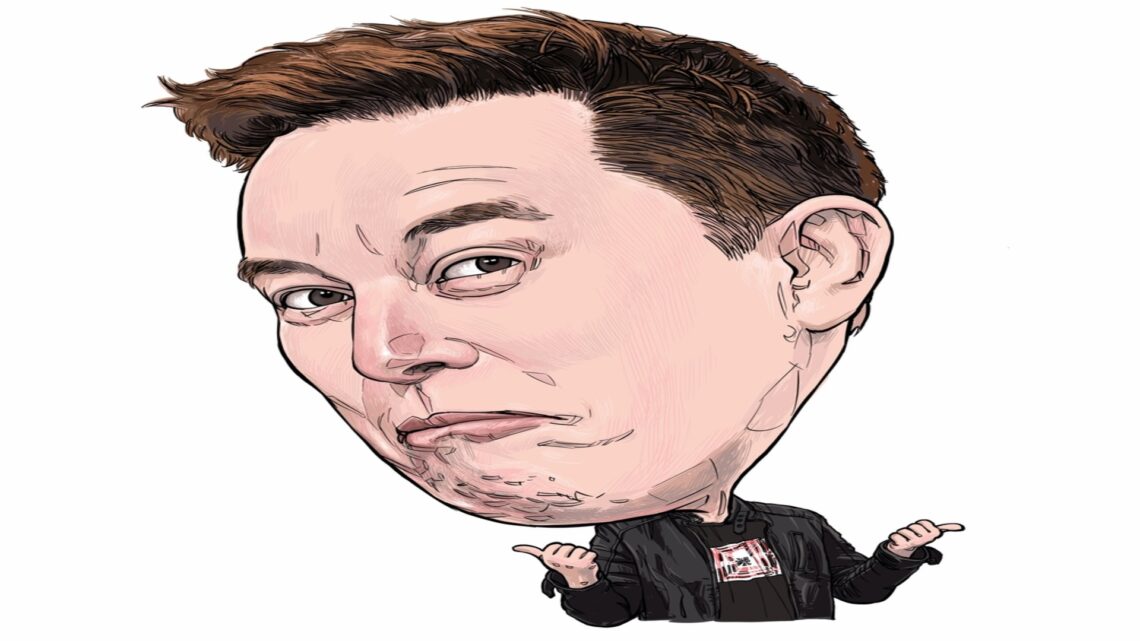 Elon Musk Fires Back in Dogecoin Lawsuit, Investors Turn to DigiToads as its future look promising