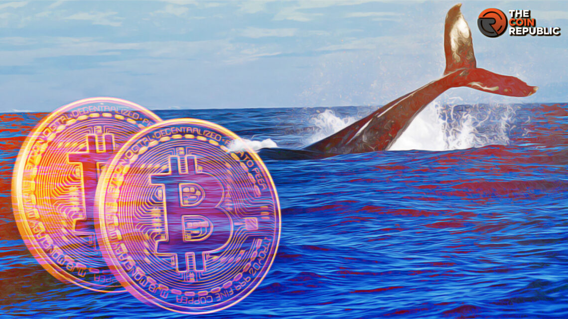 Dormant Bitcoin Whale Shifted $BTC Worth $25M for the First Time