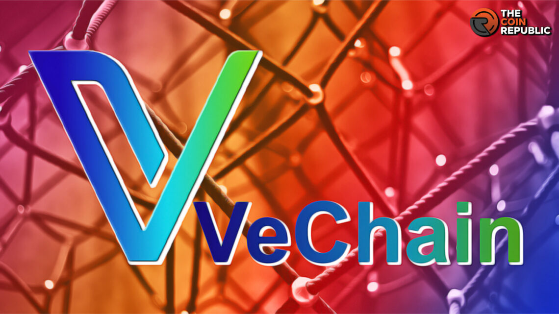 VeChain: All you Need to Know About the Blockchain Platform   
