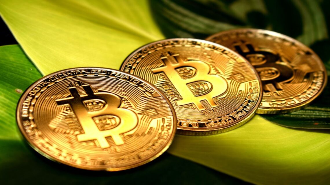 Crypto Markets Reportedly Underestimate Bitcoin Spot ETF Massively, Will Cardano and Bitcoin Spark  Profit?