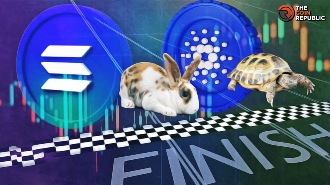 “Tortoise and Hare” Race B/w Solana and Cardano; Who's Winning?