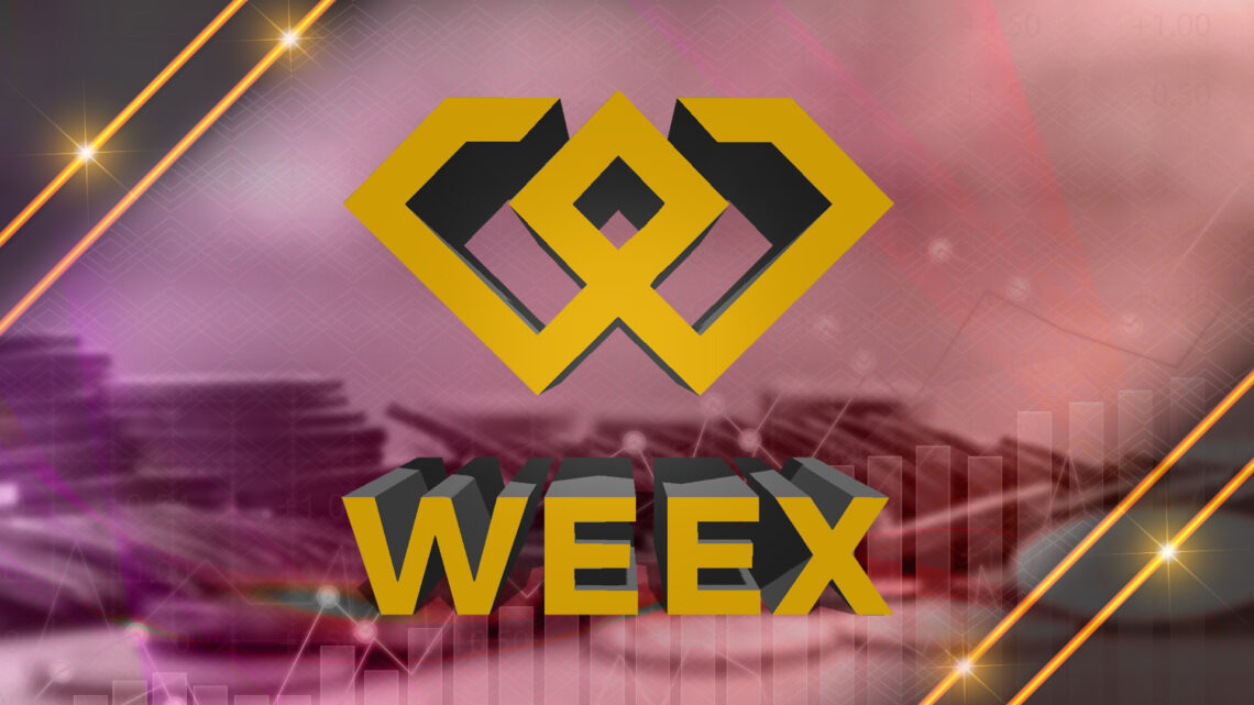 WEEX's Remarkable Journey: From Precision to Navigation in the Crypto Market