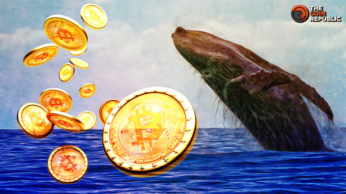 Whales and Moguls Accumulated Over $3B Worth Bitcoin- Data  