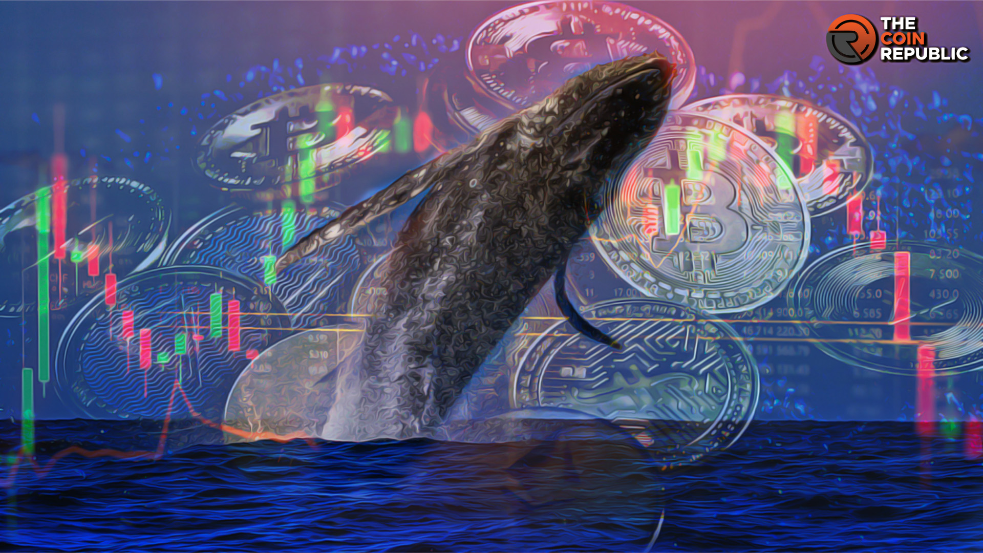 Crypto Whale: The Big-Time Investors Who Impact Markets Massively