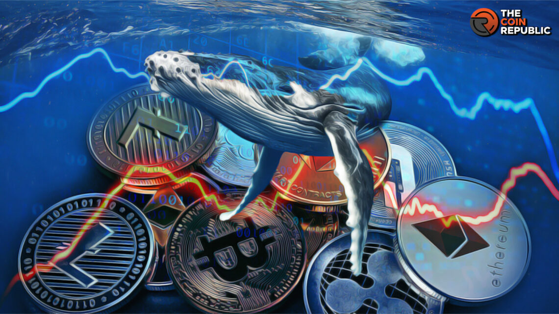 Highlights From the Unusual Whales Report on Congressional Trading 2023