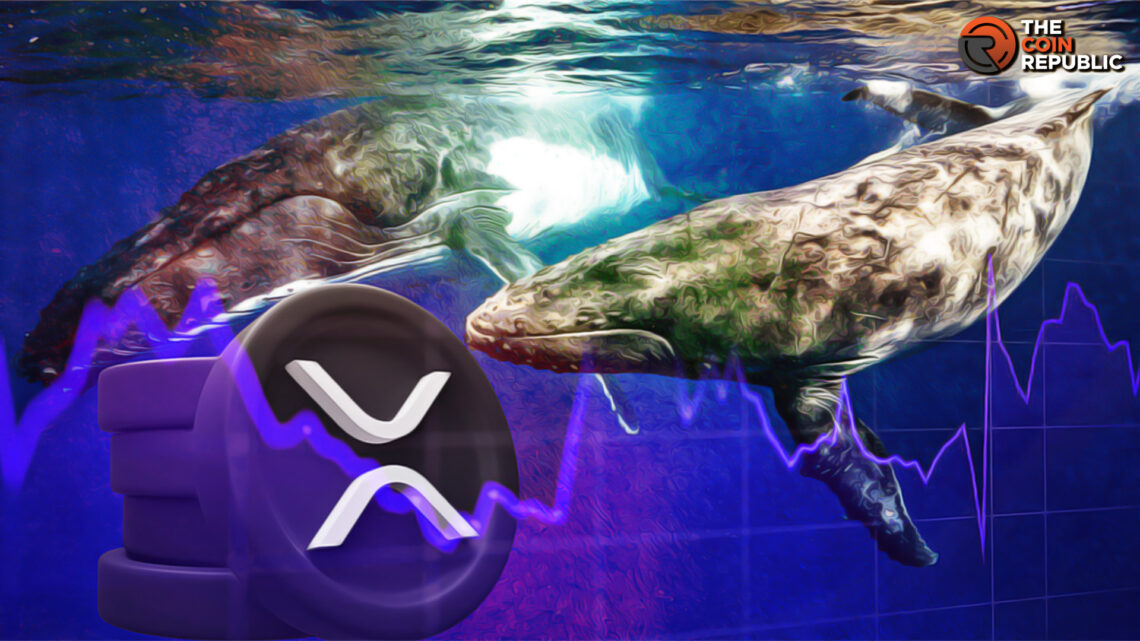 $XRP Whales Create Stir; $GFOX Accumulates $2.5M in Presale