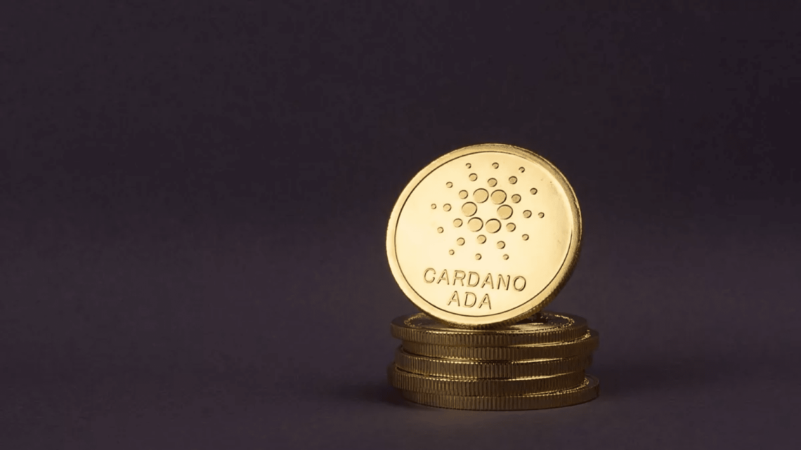 Dogecoin Millionaire Buys Heavily Into New Pushd Presale While Cardano Falls