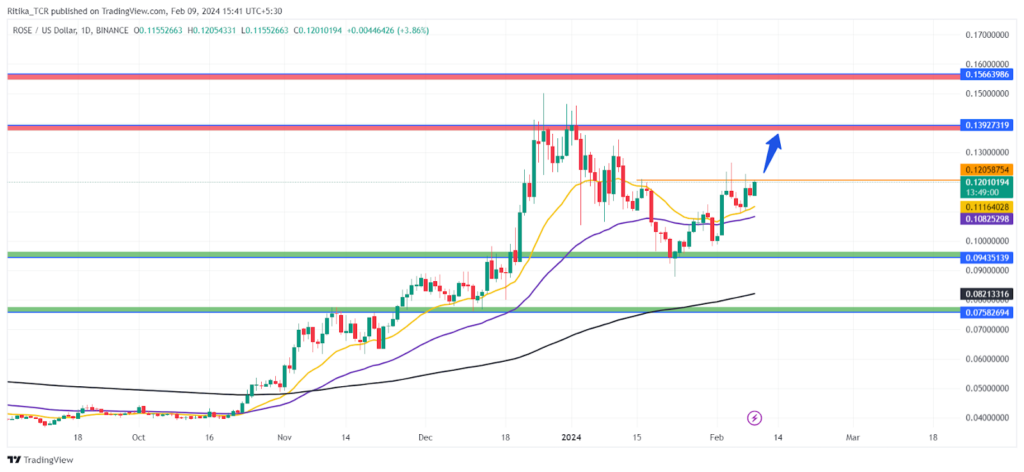 Oasis Network Crypto Analysis: Is ROSE Set to Grow in 2024?