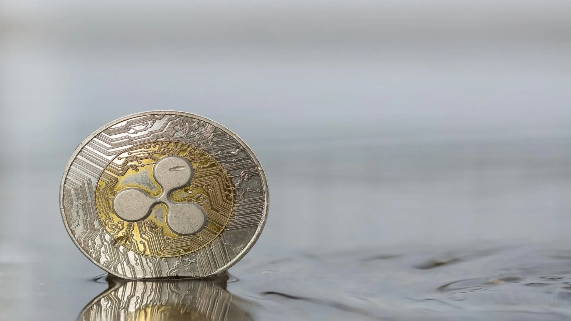 Ripple & Cardano Communities Buzz with Excitement for Fezoo (FEZ) Exchange’s Launch