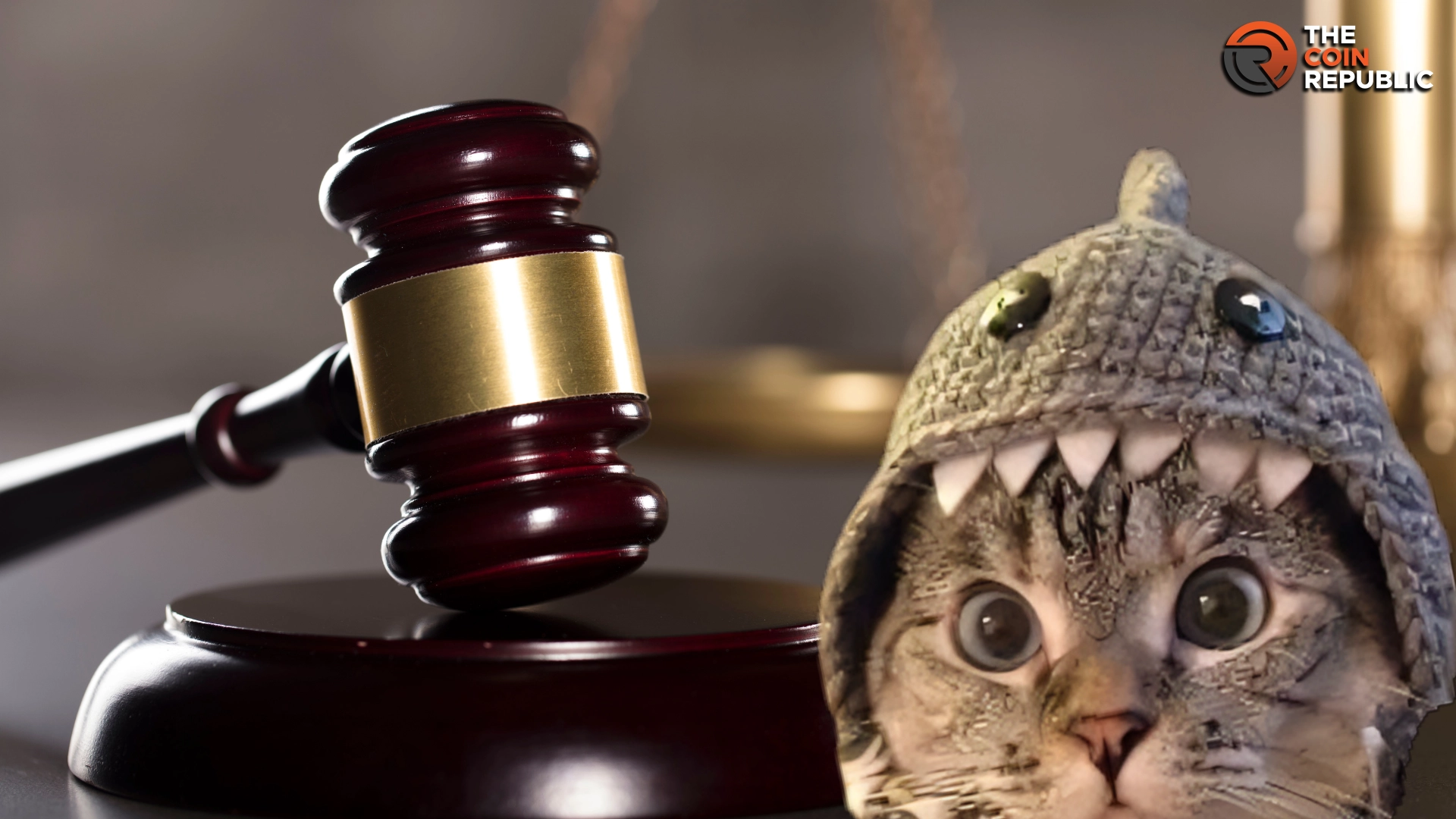 A fight Over Shark Cat Meme Coin, Involved In A Legal Battle