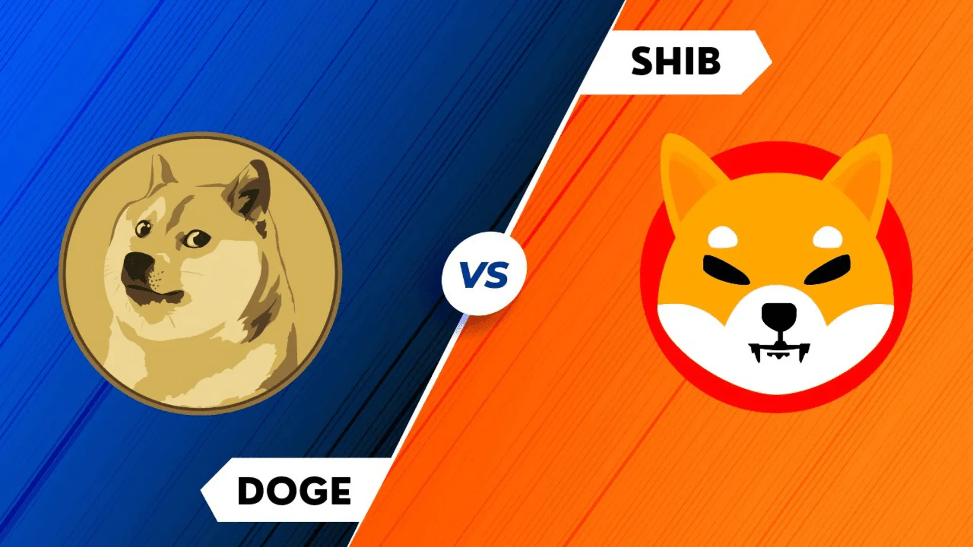 The Stage 6 Surge of Pushd Lures in DOGE and SHIB Advocates; Eyeing a 5,000% Surge