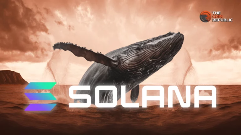 Are Solana (SOL) Whales Ditching The Coin? Ominous Data Spotted On Chain