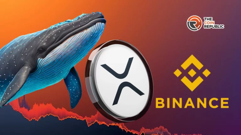 Alerta de ballena: 95 millones de XRP trasladados a Binance, ¿bajarán los precios?