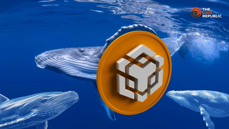 Whales Borrow From 