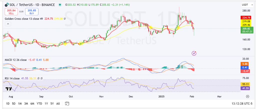 Gráfico de negociación SOL de 1 día| fuente Tradingview