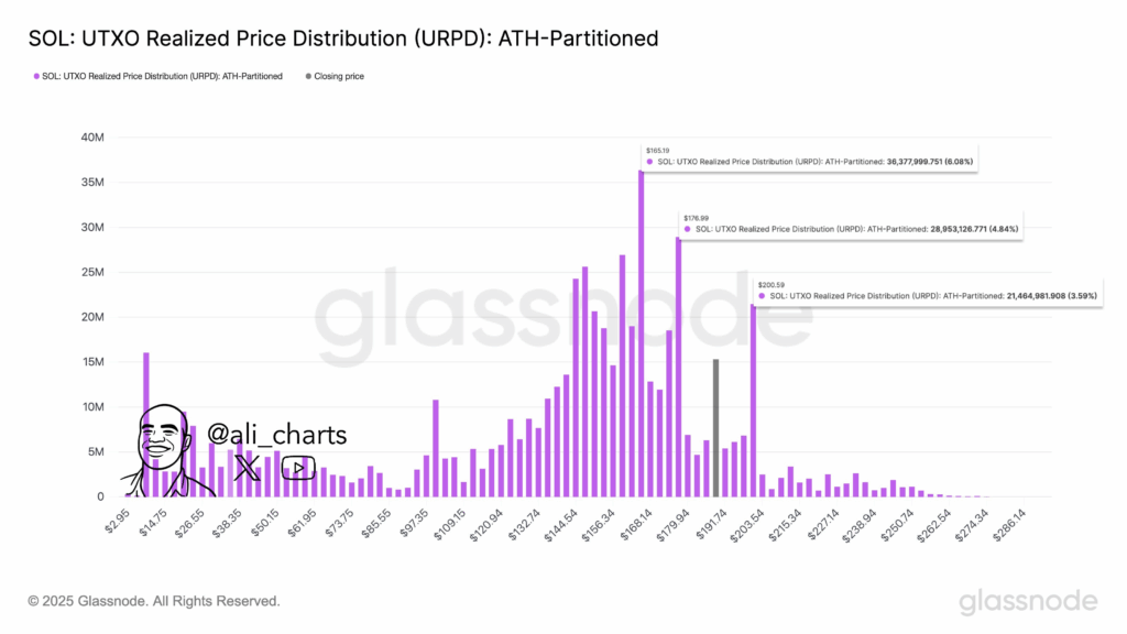 Solana UTXO Realized Price Distribution | Ali Martinez on X