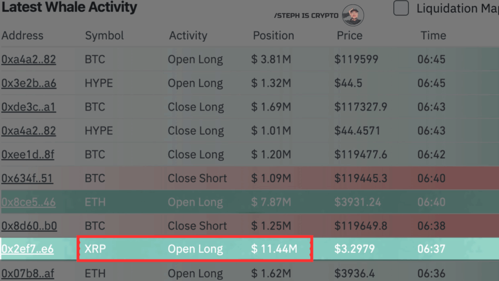 XRP Whale Opens Long Position | Source: X