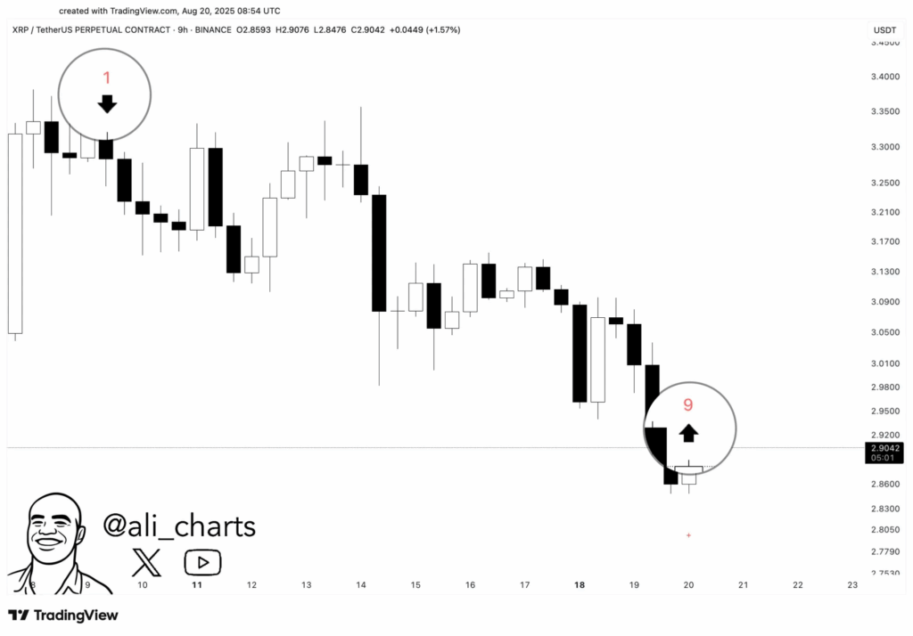 XRP Price in 9-Hour Timeframe | Source: Ali Martinez