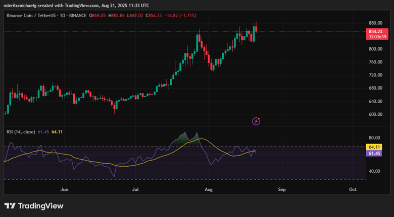 BNB Price Chart | Source: TradingView