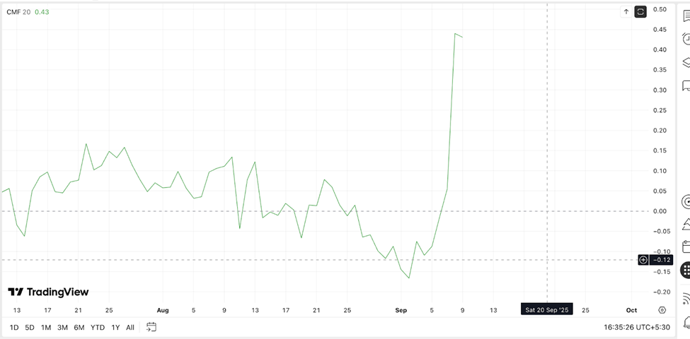 Whales Inflows Impact Worldcoin Price | Source: TradingView