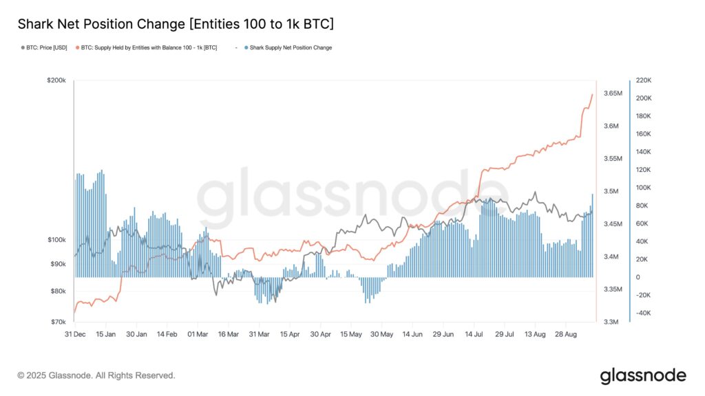 Bitcoin Price Soars amid Soaring Accumulation | Source: Glassnode