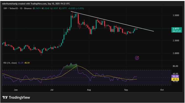 XRP Price Action | Source: TradingView