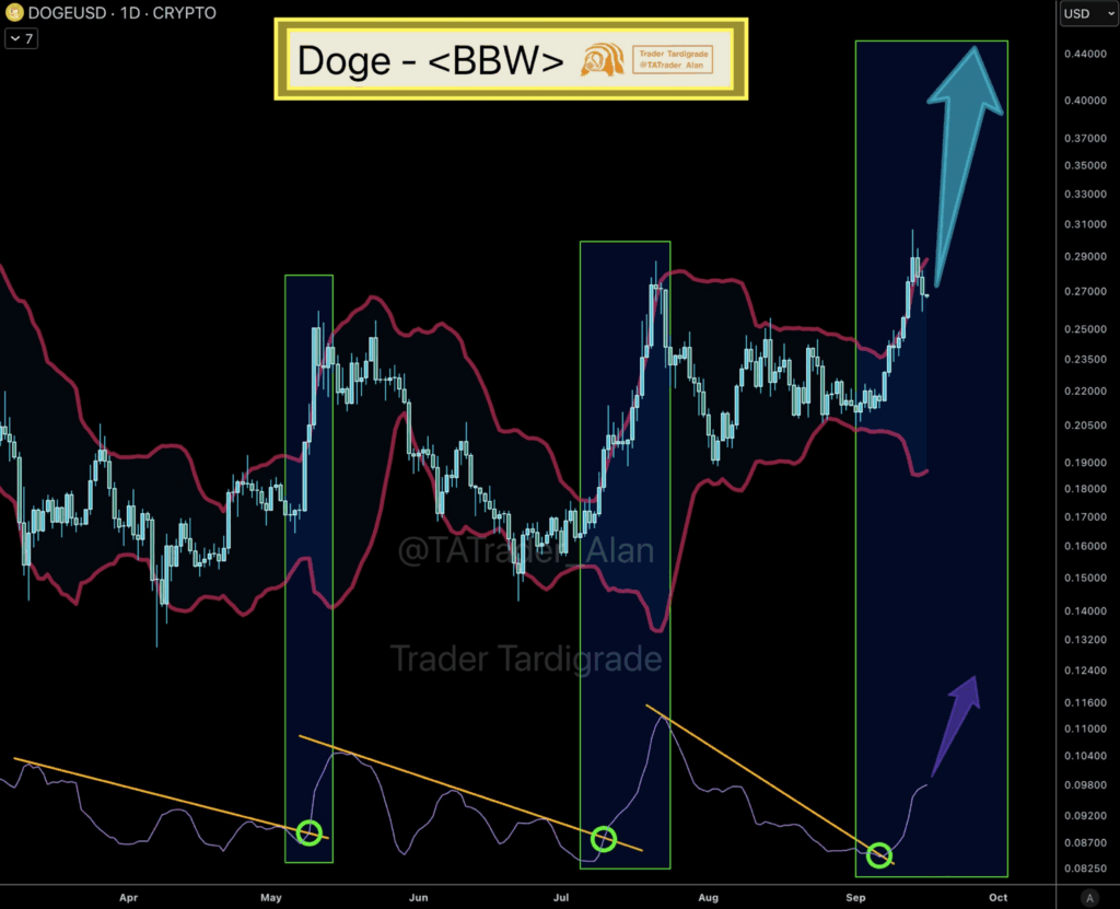 DOGE Chart | Source: TradingView