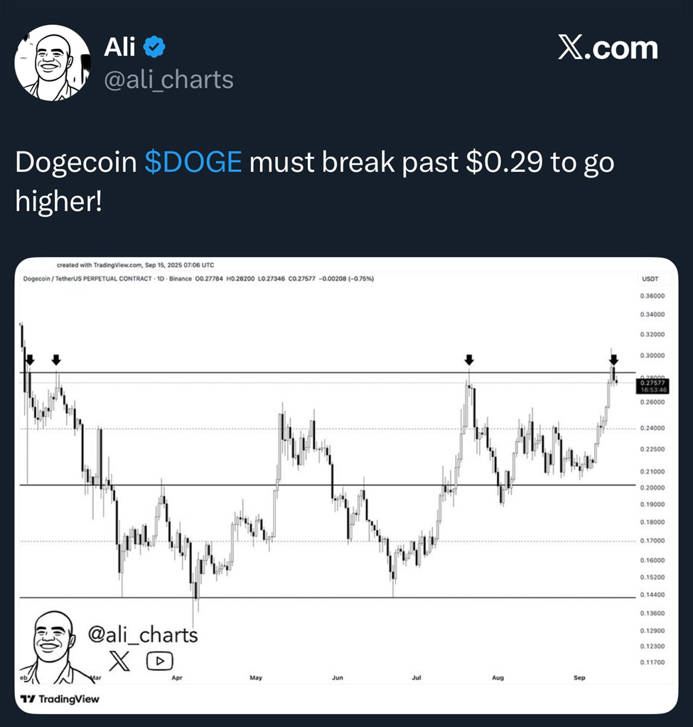 Dogecoin Price Action | Source: X